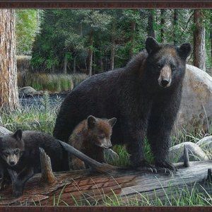 American Black Bear with Cubs .75" Stretched Canvas Wildlife Nature Art